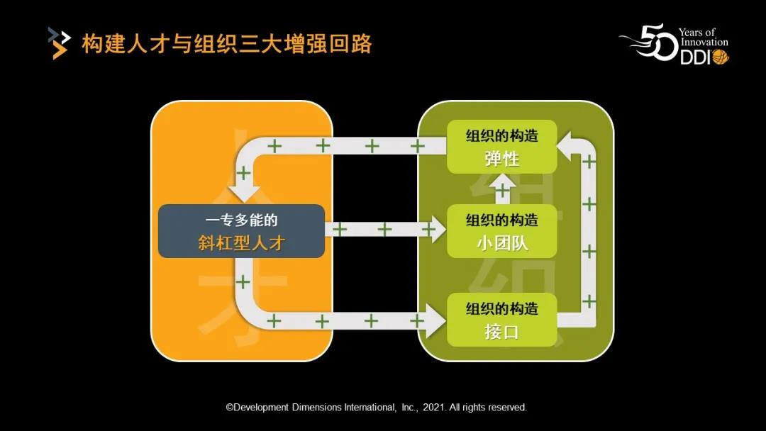 三大增強回路-斜槓型人才.jpg